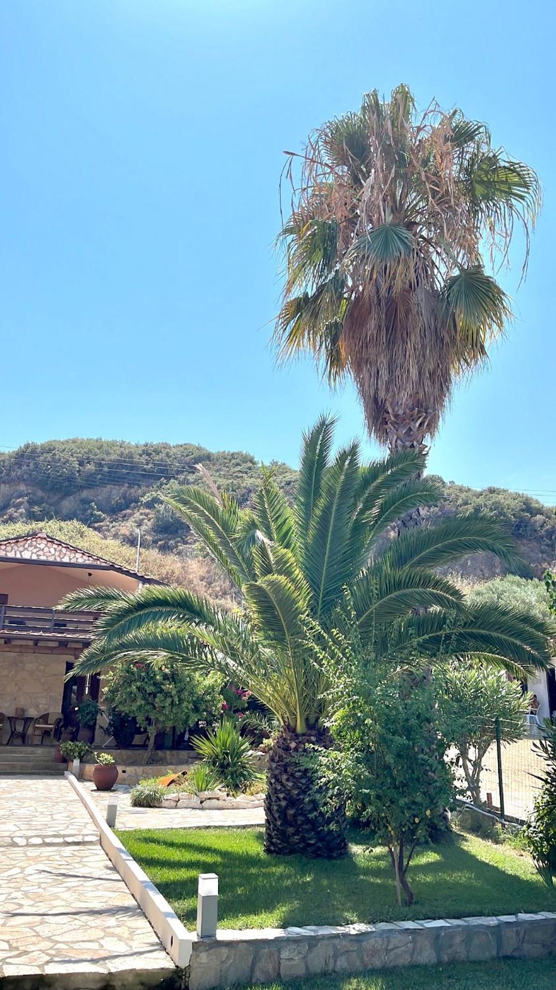 Palma Beach House サルティ エクステリア 写真
